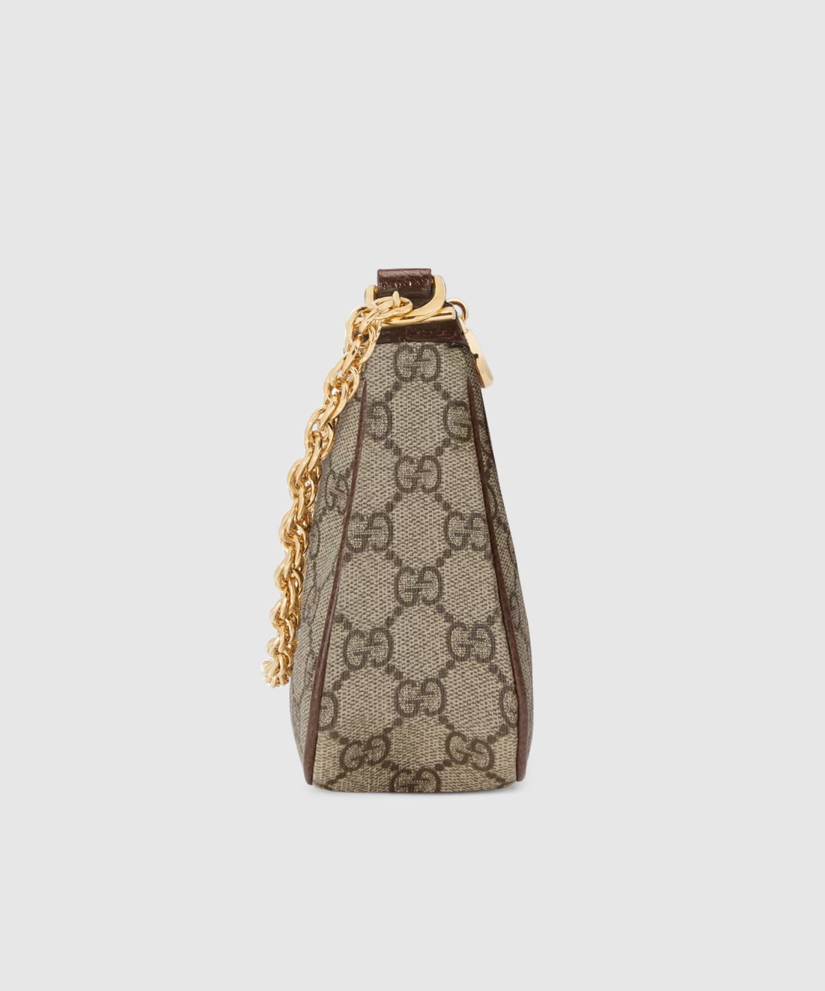 Gucci Ophidia Chain Strap Bag