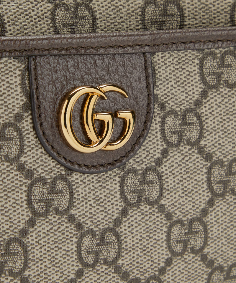 Gucci Crescent Bag